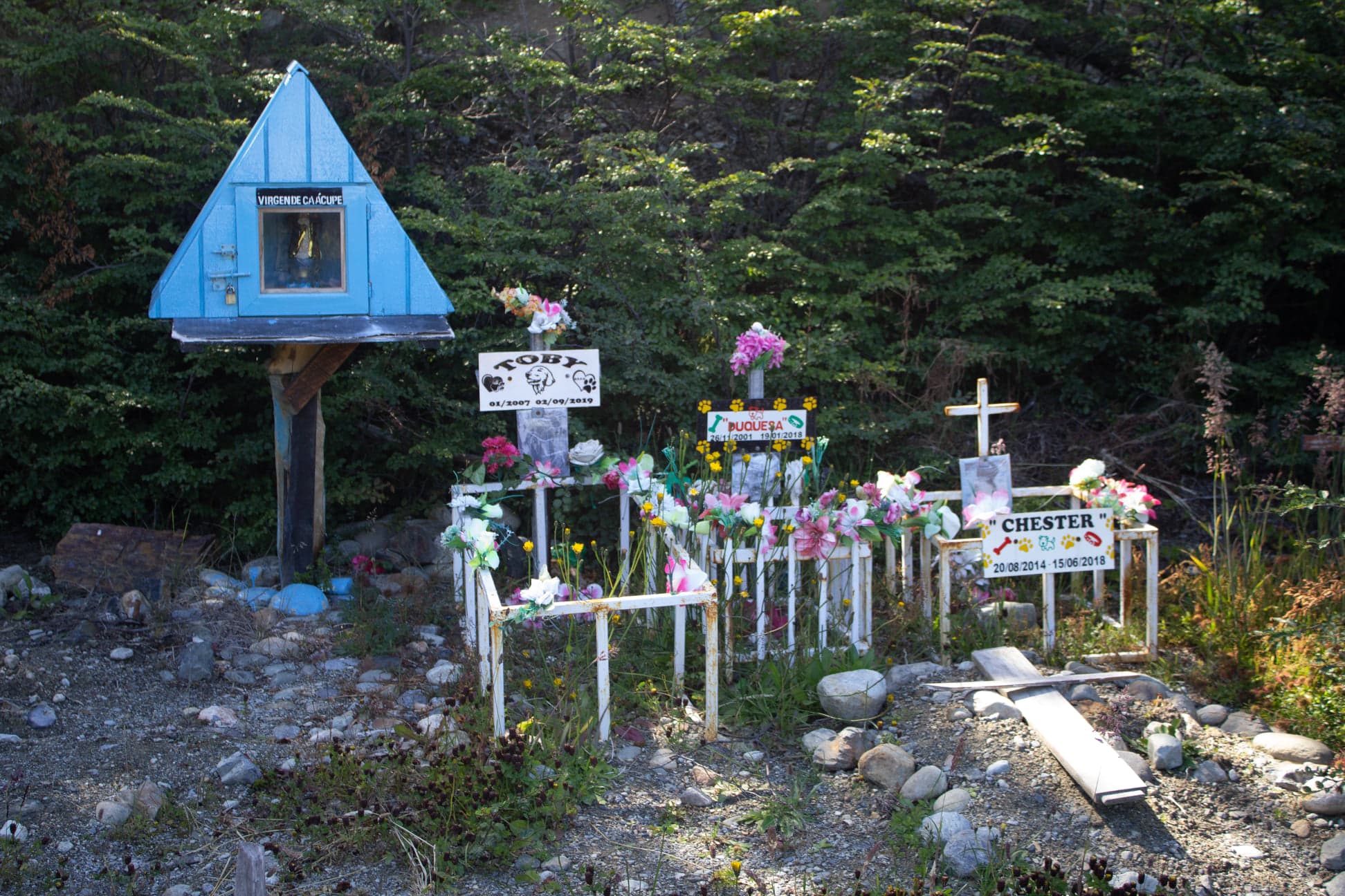 Virgen Luján y tumbas de mascotas
